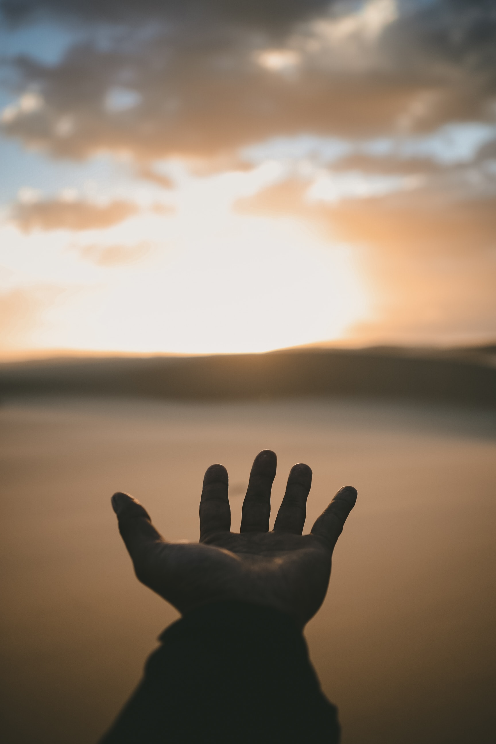 billy-pasco-se3tHNszbkM-unsplash 1