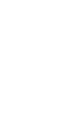 Vector 11